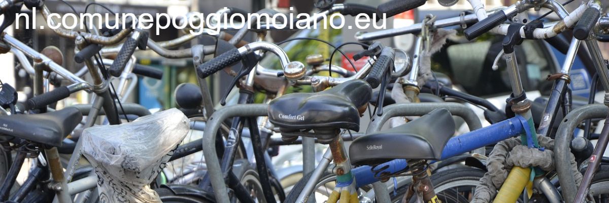 nl.comunepoggiomoiano.eu